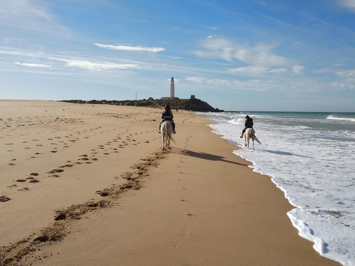 Viviendas Turisticas El Mero 扎霍拉 外观 照片